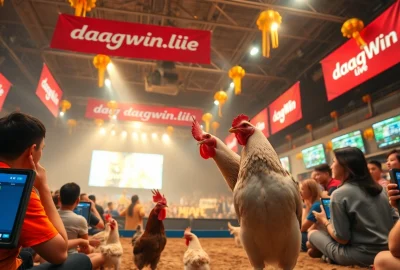 Experience live cockfighting at dagawin.live with vibrant atmosphere and betting options.